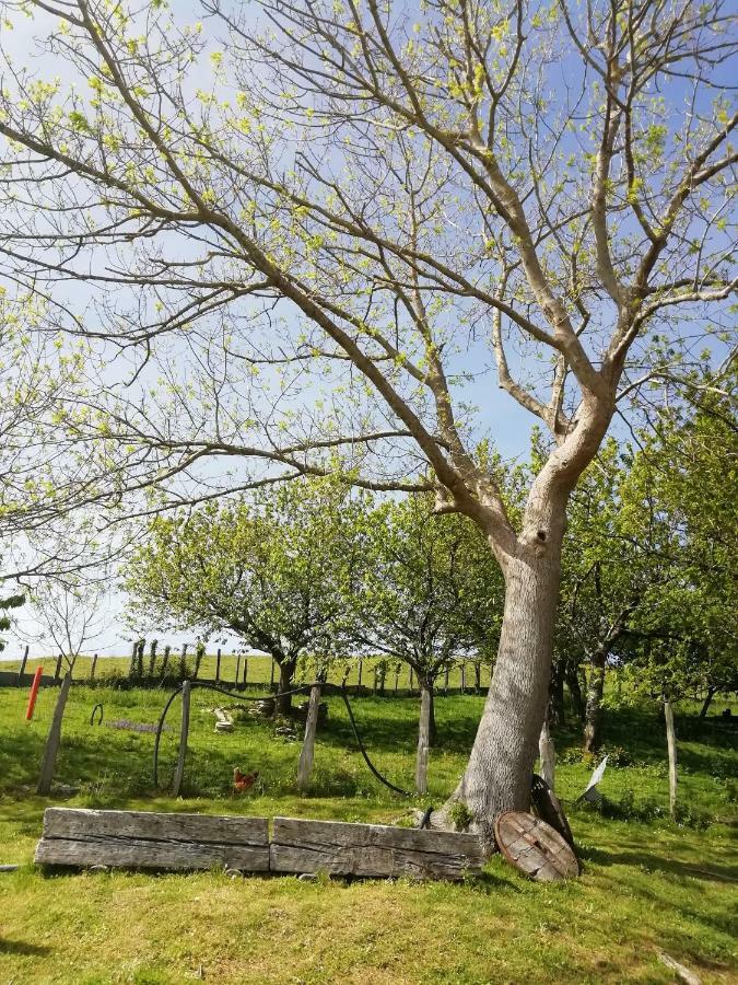 Estada en una granja Pagoederraga *