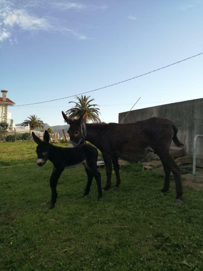 Pagoederraga Alloggio per agriturismo Orio