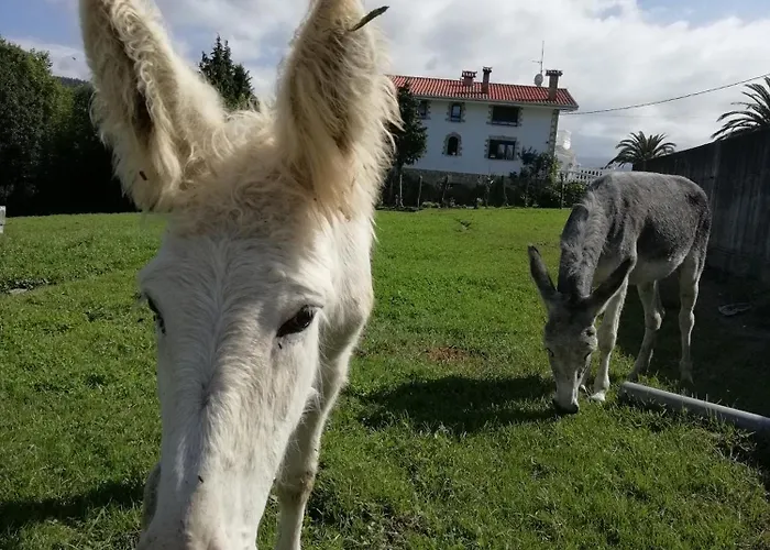 Agroturismo Pagoederraga